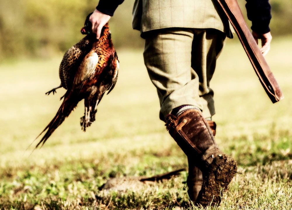 British Field & Countryside Sports Shooting British Country Sports